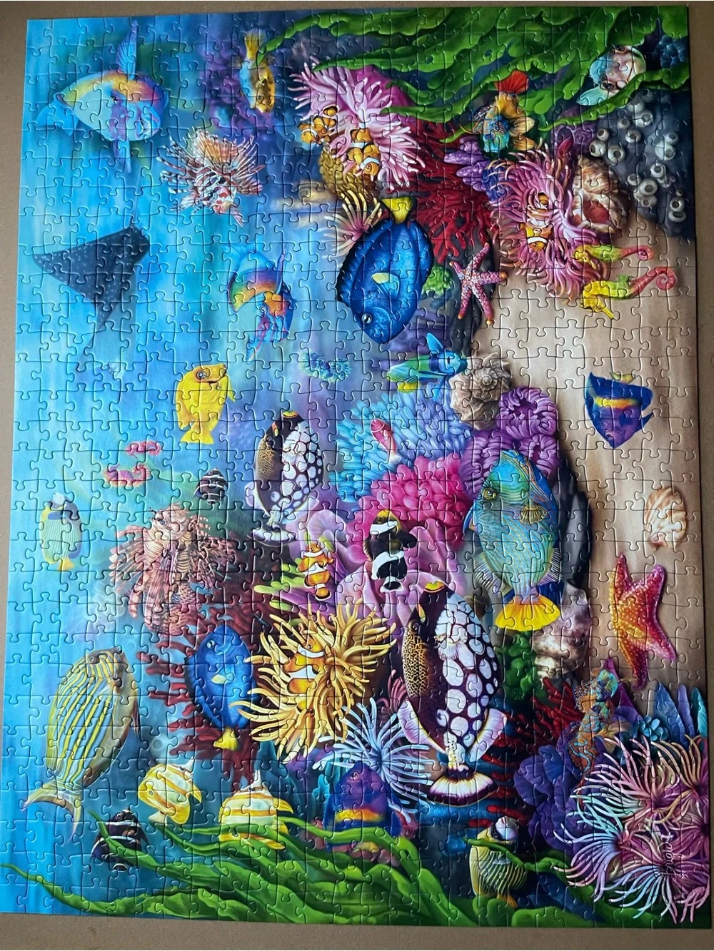 Ravensburger 750-Piece Large Piece Format   Puzzle Colorful Ocean Scene